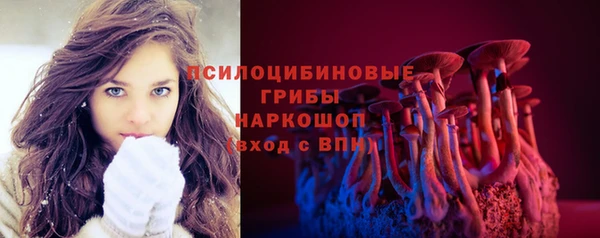 ГАЛЛЮЦИНОГЕННЫЕ ГРИБЫ Балабаново