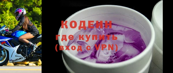 гидра Корсаков