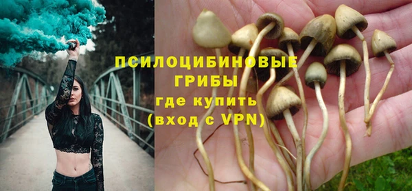 ГАЛЛЮЦИНОГЕННЫЕ ГРИБЫ Балабаново