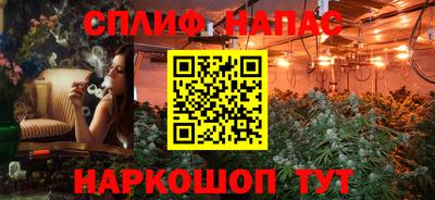 дживик Гай