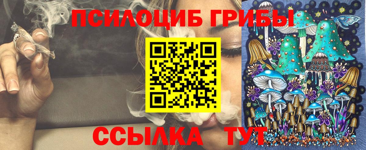 Галлюциногенные грибы Magic Shrooms  продажа наркотиков  Галлюциногенные грибы GOLDEN TEACHER  Гусев 