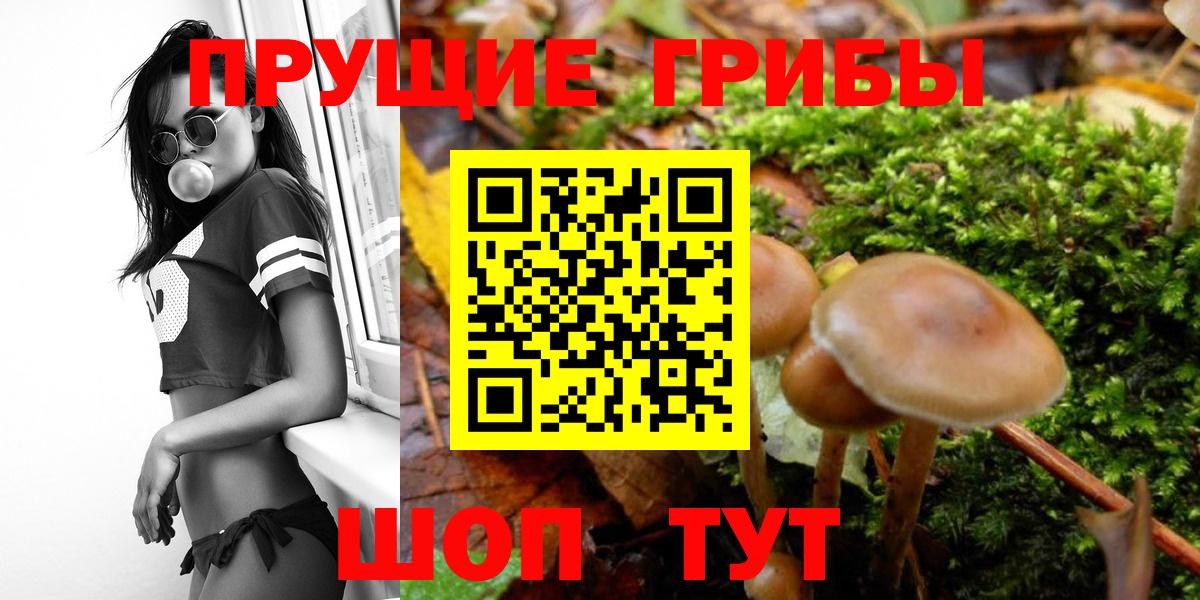 Галлюциногенные грибы Cubensis Гусев