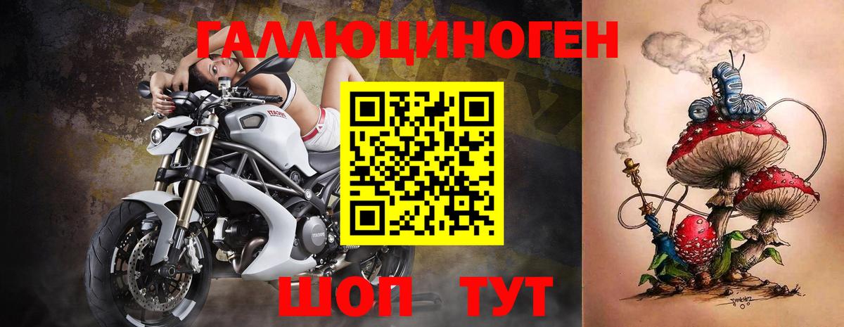 Псилоцибиновые грибы Cubensis Гусев