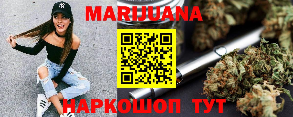 Бошки Шишки план Гусев